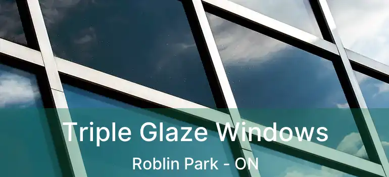  Triple Glaze Windows Roblin Park - ON