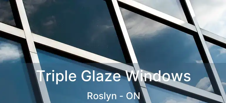 Triple Glaze Windows Roslyn - ON