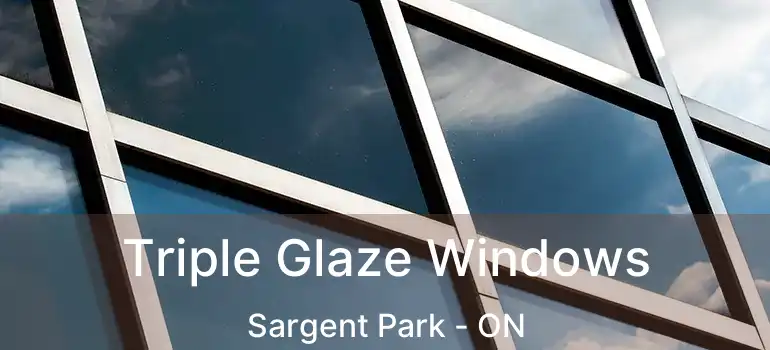  Triple Glaze Windows Sargent Park - ON