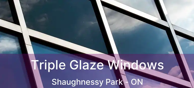  Triple Glaze Windows Shaughnessy Park - ON