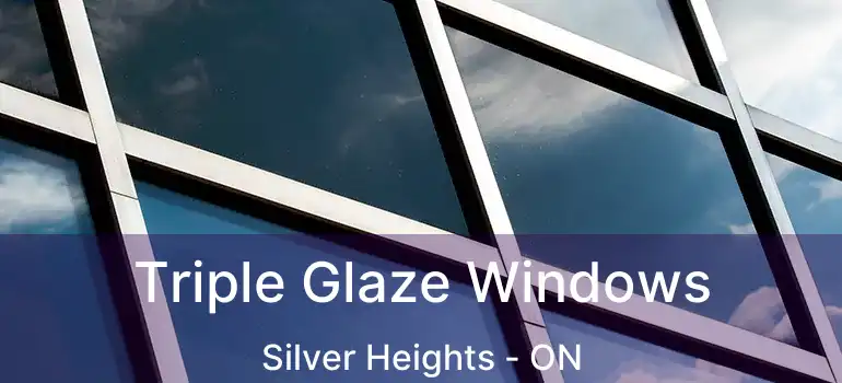  Triple Glaze Windows Silver Heights - ON