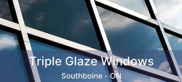  Triple Glaze Windows Southboine - ON