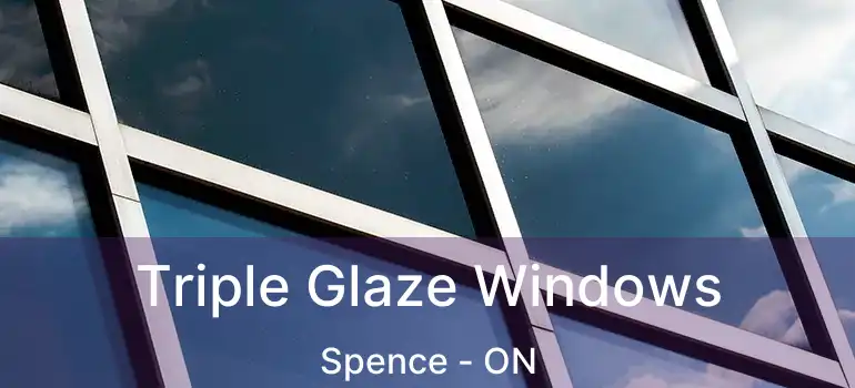  Triple Glaze Windows Spence - ON