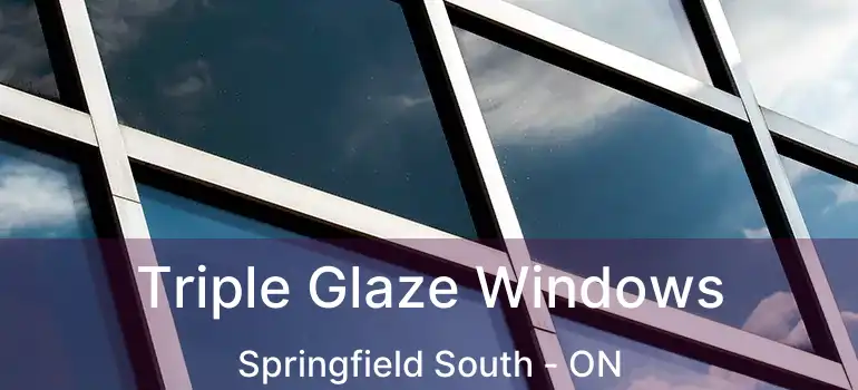  Triple Glaze Windows Springfield South - ON