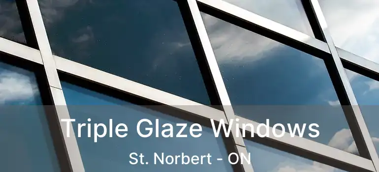  Triple Glaze Windows St. Norbert - ON
