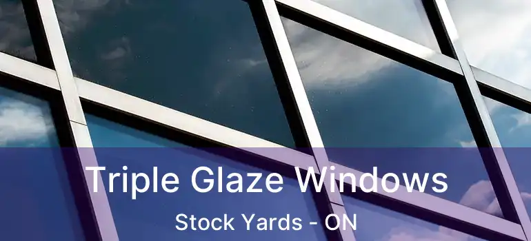  Triple Glaze Windows Stock Yards - ON