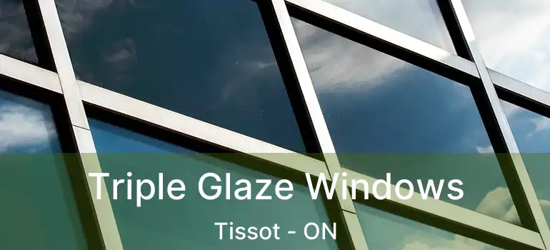  Triple Glaze Windows Tissot - ON