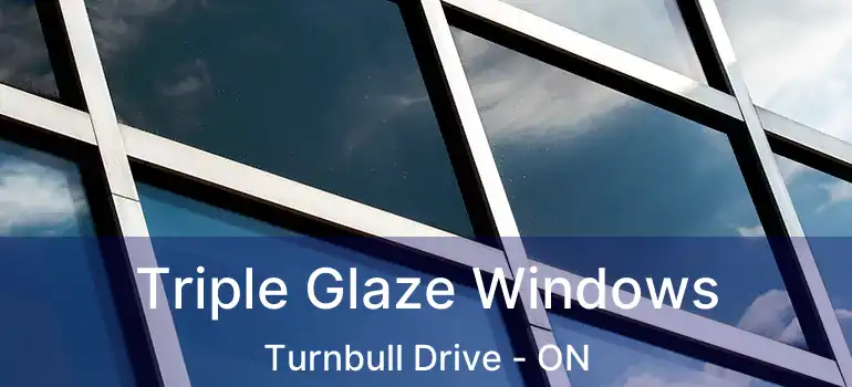  Triple Glaze Windows Turnbull Drive - ON