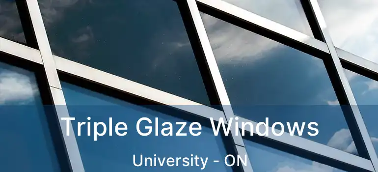  Triple Glaze Windows University - ON