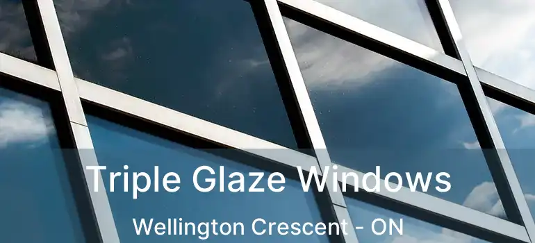  Triple Glaze Windows Wellington Crescent - ON