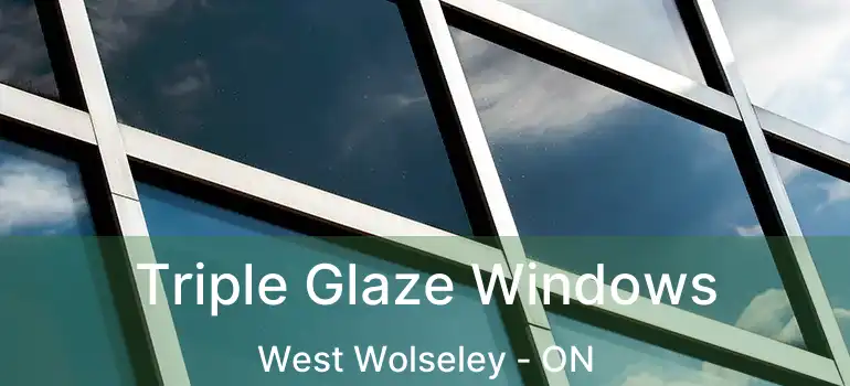  Triple Glaze Windows West Wolseley - ON