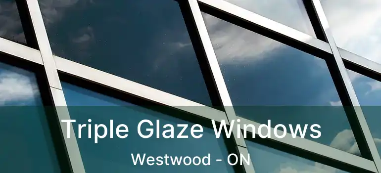  Triple Glaze Windows Westwood - ON