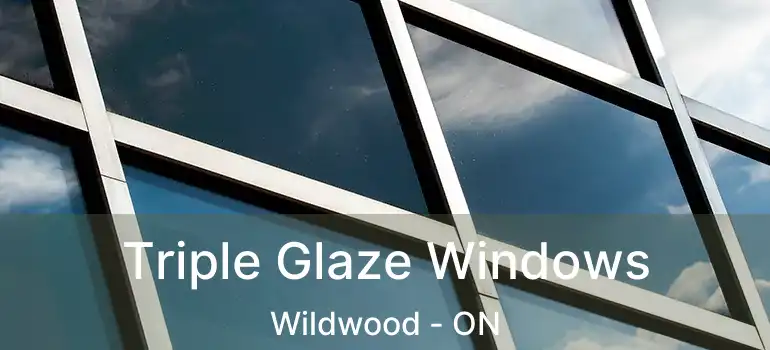  Triple Glaze Windows Wildwood - ON