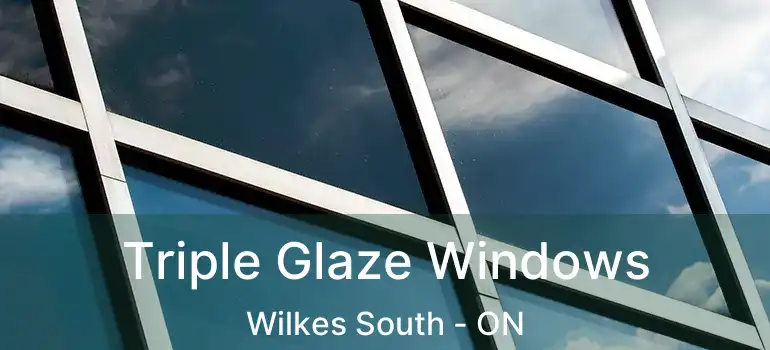  Triple Glaze Windows Wilkes South - ON