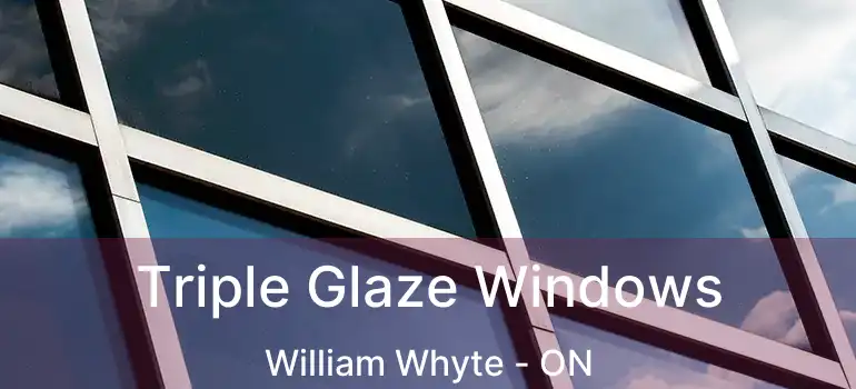  Triple Glaze Windows William Whyte - ON