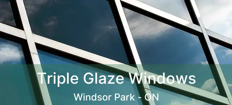  Triple Glaze Windows Windsor Park - ON