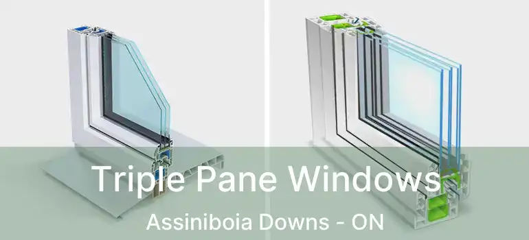  Triple Pane Windows Assiniboia Downs - ON