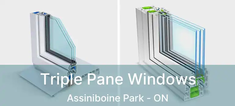  Triple Pane Windows Assiniboine Park - ON