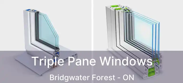  Triple Pane Windows Bridgwater Forest - ON