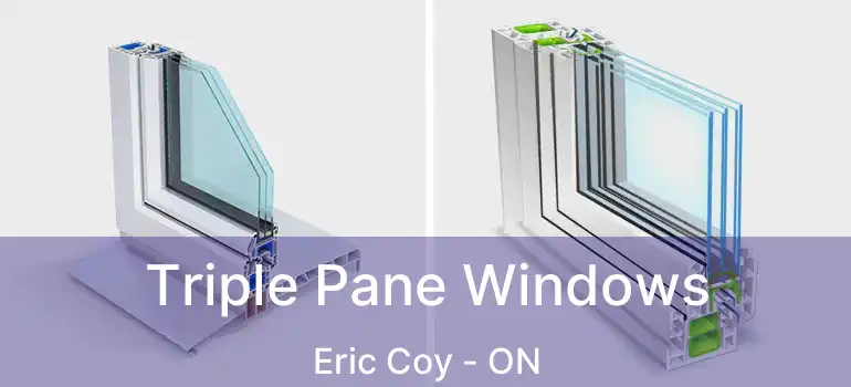  Triple Pane Windows Eric Coy - ON