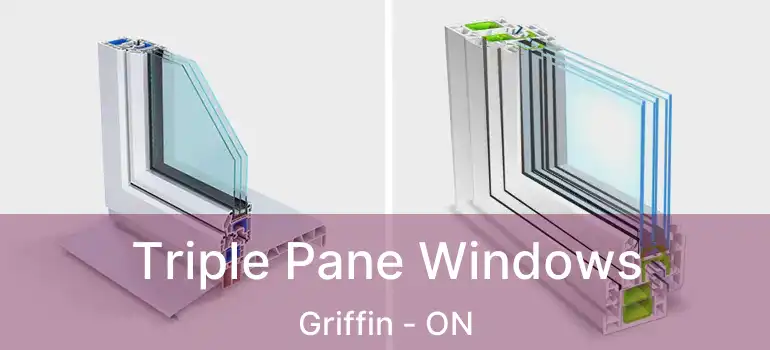  Triple Pane Windows Griffin - ON