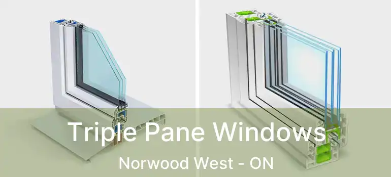  Triple Pane Windows Norwood West - ON
