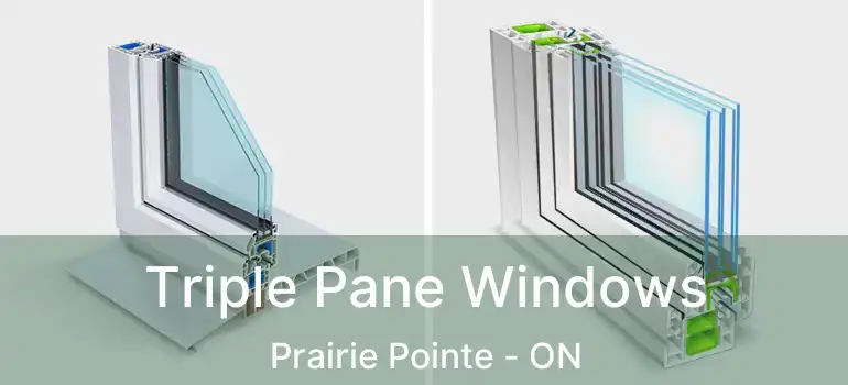  Triple Pane Windows Prairie Pointe - ON