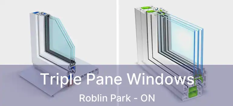  Triple Pane Windows Roblin Park - ON