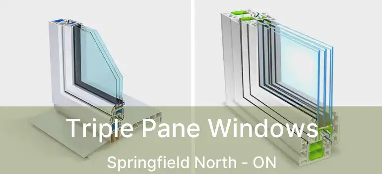  Triple Pane Windows Springfield North - ON