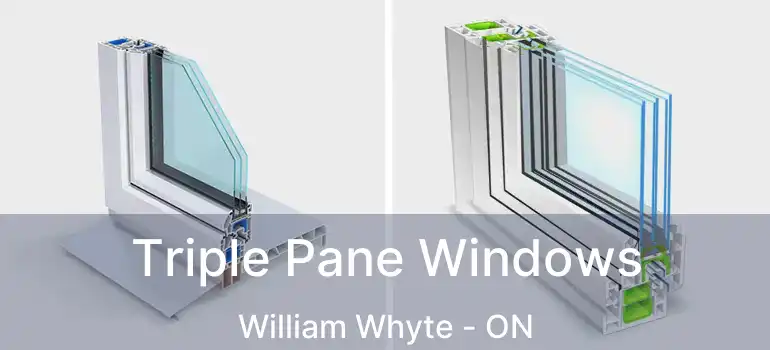  Triple Pane Windows William Whyte - ON