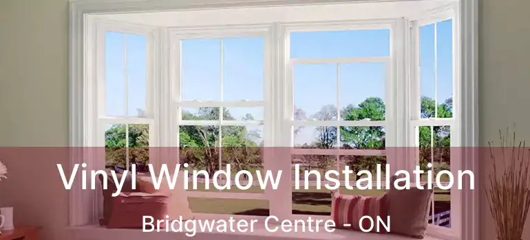  Vinyl Window Installation Bridgwater Centre - ON