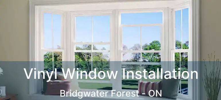  Vinyl Window Installation Bridgwater Forest - ON