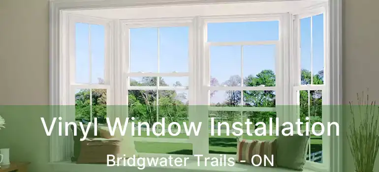  Vinyl Window Installation Bridgwater Trails - ON