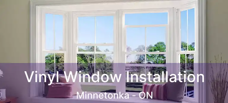  Vinyl Window Installation Minnetonka - ON