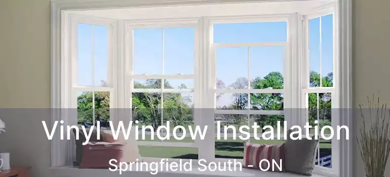  Vinyl Window Installation Springfield South - ON