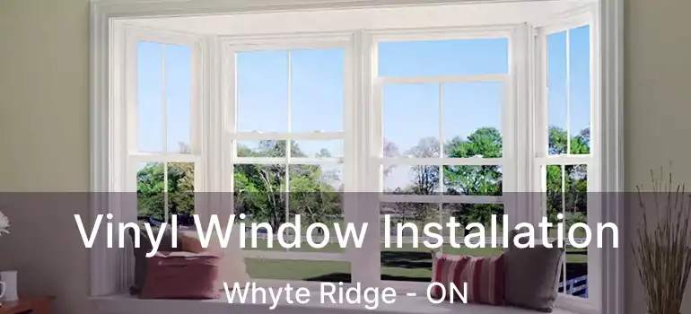  Vinyl Window Installation Whyte Ridge - ON