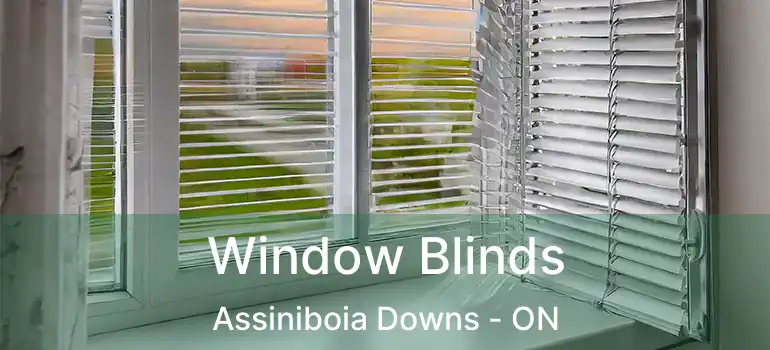  Window Blinds Assiniboia Downs - ON