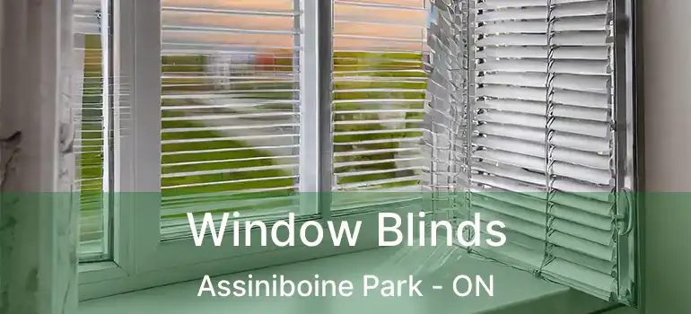 Window Blinds Assiniboine Park - ON