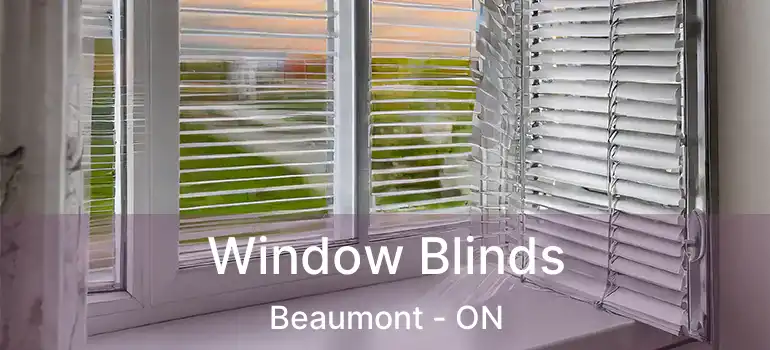  Window Blinds Beaumont - ON