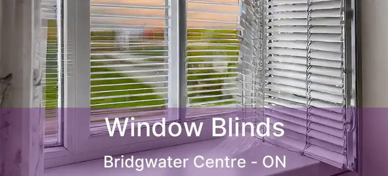  Window Blinds Bridgwater Centre - ON