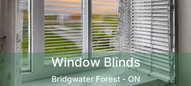  Window Blinds Bridgwater Forest - ON