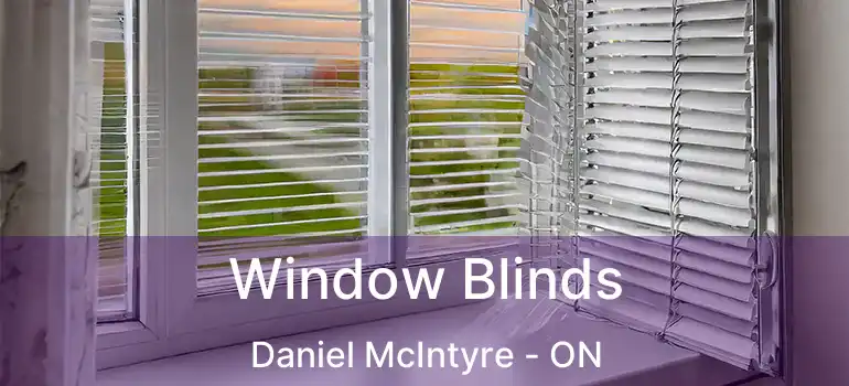  Window Blinds Daniel McIntyre - ON