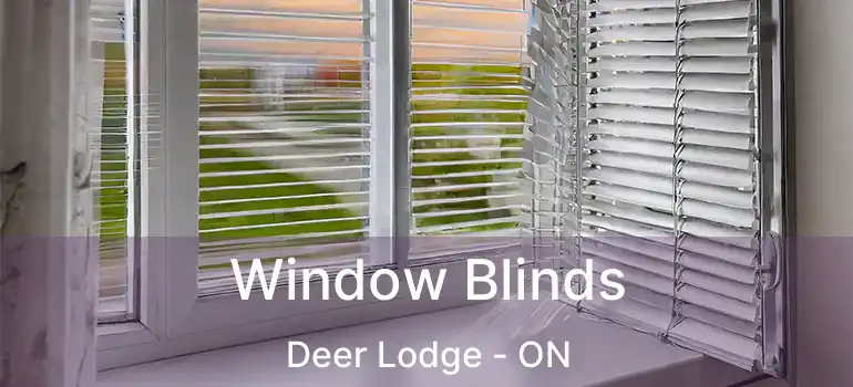  Window Blinds Deer Lodge - ON