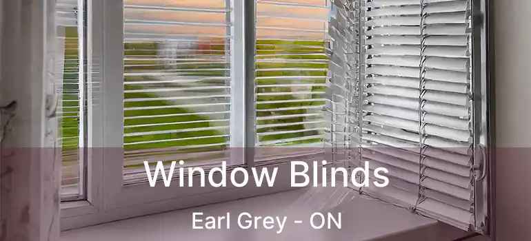  Window Blinds Earl Grey - ON