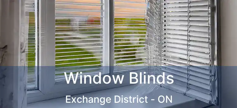  Window Blinds Exchange District - ON
