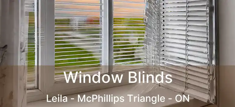 Window Blinds Leila - McPhillips Triangle - ON