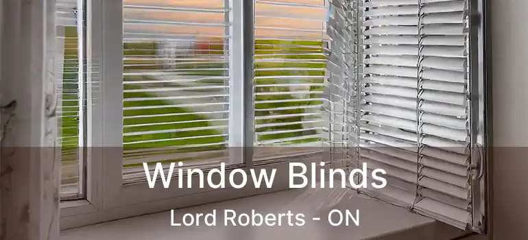  Window Blinds Lord Roberts - ON