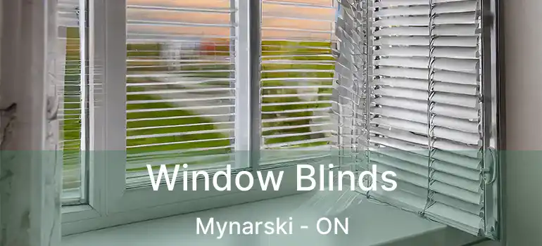  Window Blinds Mynarski - ON