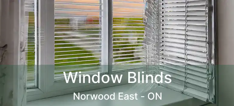 Window Blinds Norwood East - ON