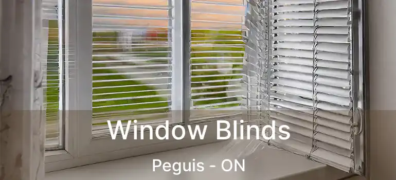  Window Blinds Peguis - ON